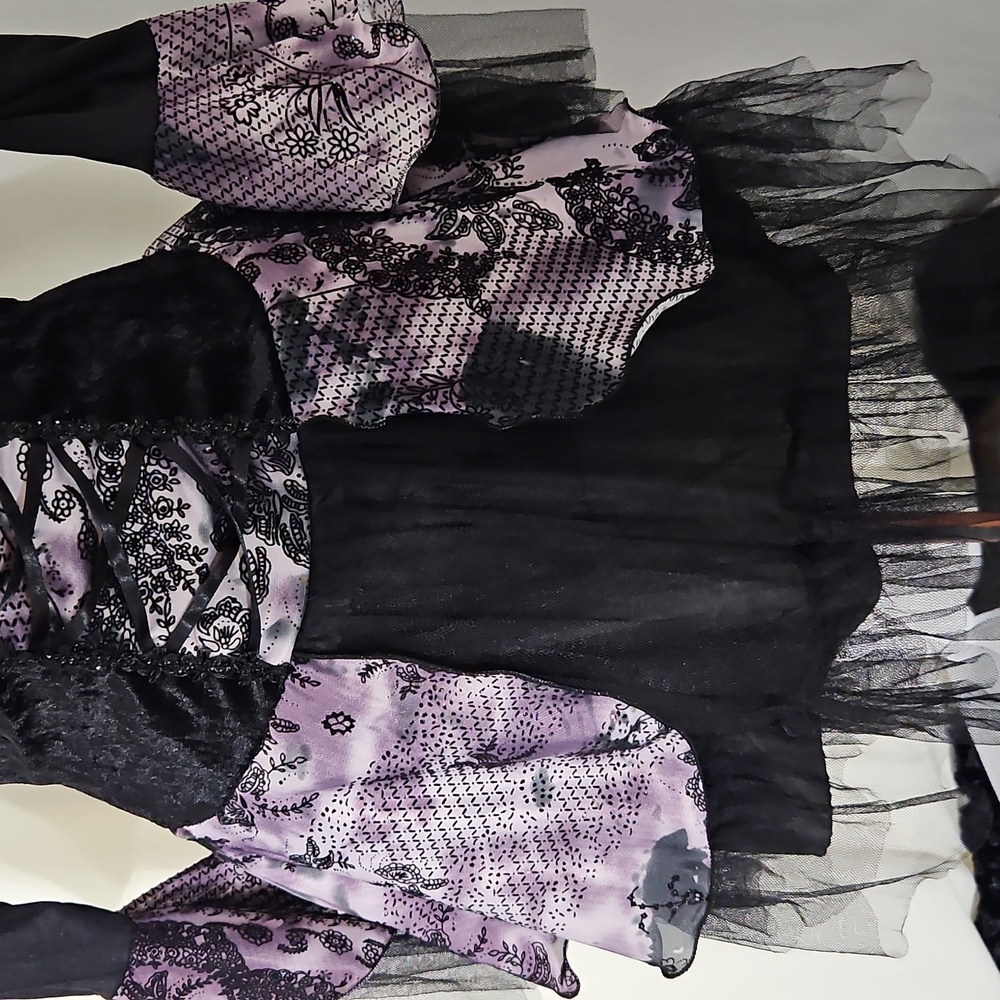 Gothic Enchantress Costume W/ Wig, Hat, Dress, Fishnet Stockings Size S (4-6) - Picture 6 of 11
